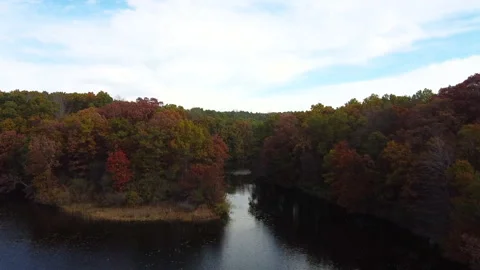 FLYING OVER A STREAM COVERED BY FALL LEAVES AND TREES Stock Footage 195389127