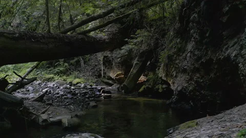 Flying over a stream. 스톡 동영상 168337683