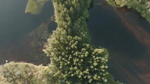 Flying over the stream in the forest Stock Footage 292445537