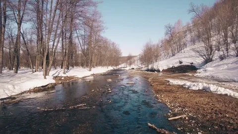 Flying over a stream through a beautiful spring forest in the snow Stock Footage 73960680