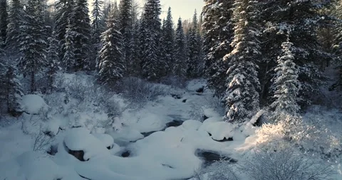 Flying over a stream in a winter snowy forest. Mountain River. Beauty in nature Stock Footage 148516329
