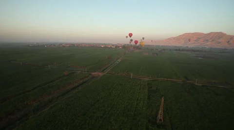 Flying over sugar-cane fields near Luxor, Egypt Stock Footage 38768270