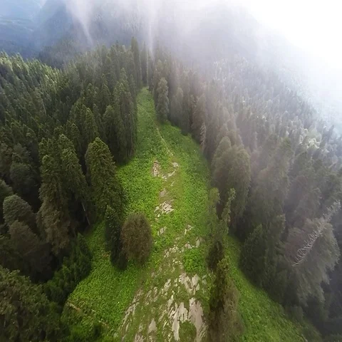 Flying over the summer mountain forest. Stock Footage 69312527