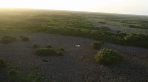 Flying Over Sunbeam Hitting Everglades Stock Footage 26244989