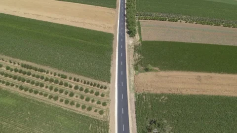 Flying over the sunflower, corn and wheat fields with blue sky in background Stock Footage 261183652