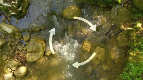 Flying up over sunny forest river with recycle arrows rotation 库存影片 334078486