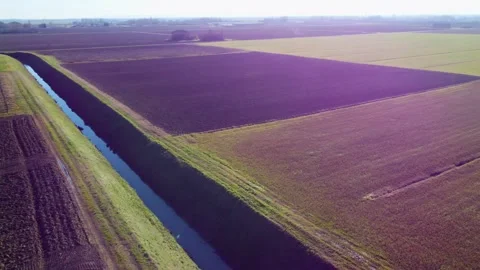 Flying over sunny green fields Stock Footage 296480910