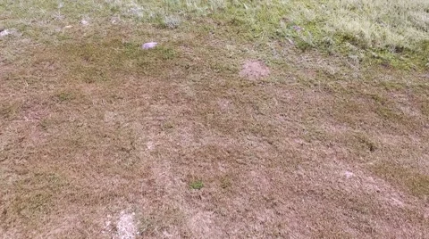 Flying over the surface of Altai Stock-Footage 67835047