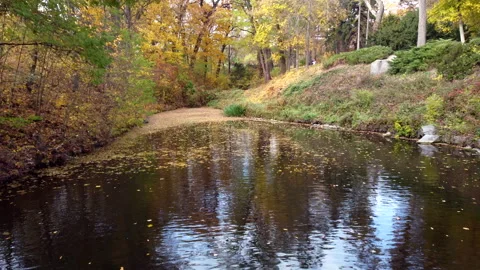 Flying over surface of lake covered with fallen yellow leaves on warm autumn day Stock Footage 281920374