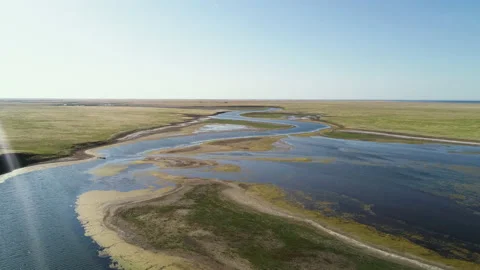 Flying over the surface of the water next to the swamp Video stock 153465126