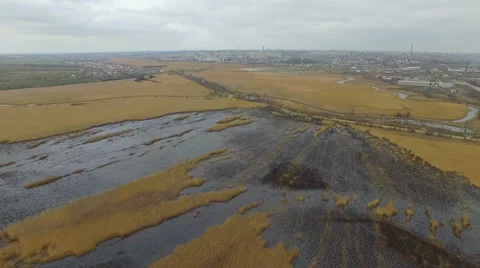 Flying over the swamp burned. view from the air Stock Footage 63081632