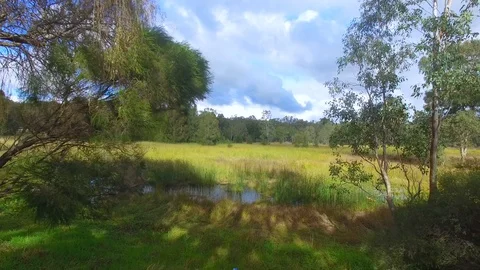 Flying over swamp Stock Footage 91219466