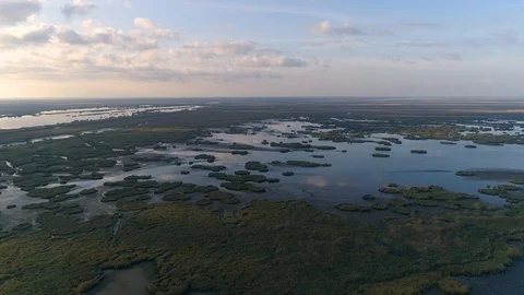 Flying over the swamp Stock Footage 121749057