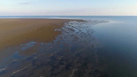 Flying over the swamp Stock Footage 121749699