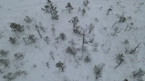 Flying over a swamp Stock Footage 167467979