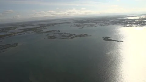 Flying over the swamp Stock Footage 170056101