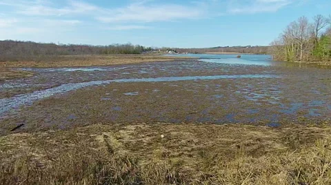 Flying over the swampland Video stock 48272006