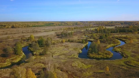 Flying over swampy forest area with river on Sunny autumn day Stock Footage 99093737
