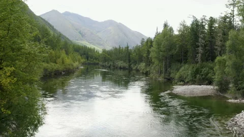 Flying over a taiga river  Stock Footage 236144644