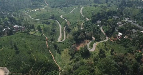 Flying over the tea plantations in Sri Lanka Stock Footage 100600868