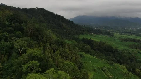 Flying over temple in Sidemen  Stock Footage 303574162