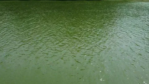Flying over Tisa river, drone footage Stock Footage 220661175