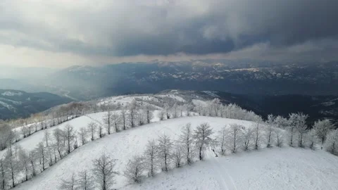 Flying over the top of a snow-covered mountain covered with bushes and trees Stock Footage 147621979