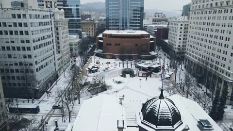 Flying over the town square during a snowstorm Stock-Footage 162848824