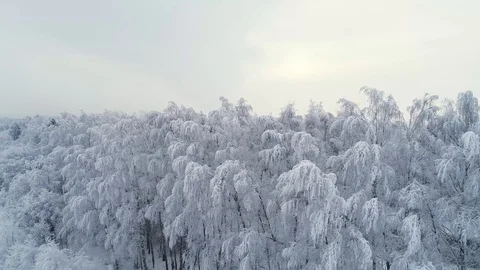 Flying over the track Stock Footage 100242692