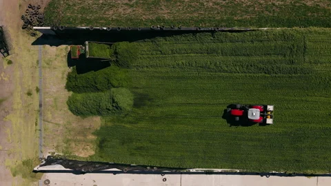 Flying over tractors working in a silo pit Vídeo Stock 164097666
