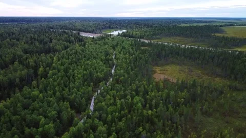 Flying over a trail in the woods. The trail comes out on the trailhead. Stock Footage 170061464