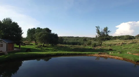 Flying Over a Tranquil Dam in Green Country Side Video stock 65177824