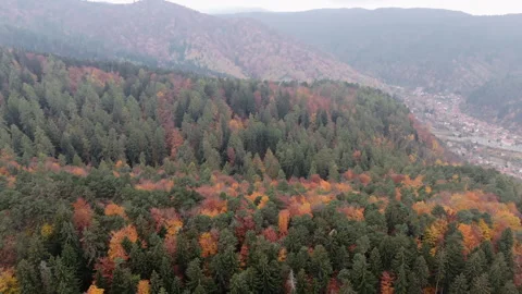Flying over Transylvanian Forest Stock Footage 290444938