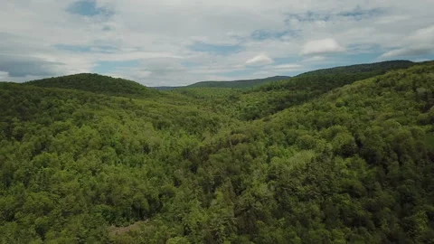 Flying Over Tree Covered Mountains in New England Stock Footage 275281748