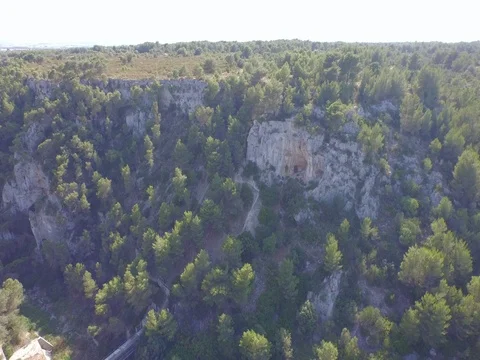 Flying over the tree-filled landscape Stock Footage 72365788