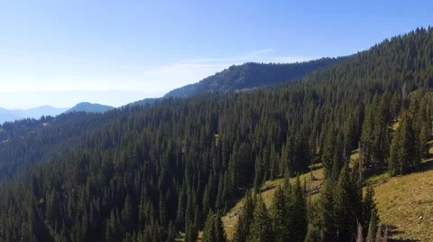 Flying over the tree tops in Deer Valley, Utah Stock Footage 66500510