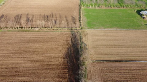 Flying over trees 2 스톡 동영상 149897644