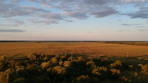 Flying over the trees and field. Golden sunset. Beautiful sky and clouds. Drone. Stock Footage 128627522