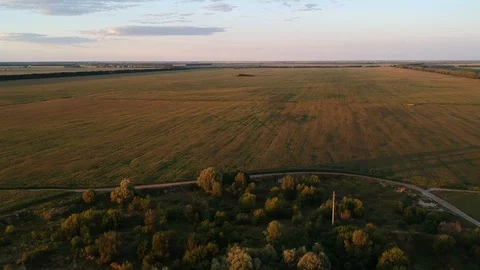 Flying over the trees and field. Golden sunset. Beautiful sky and clouds. Drone. Stock Footage 128632706