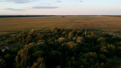 Flying over the trees and field. Golden sunset. Beautiful sky and clouds. Drone. Stock Footage 128634403