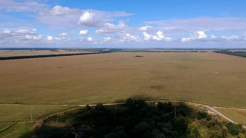 Flying over the trees and field. Beautiful sky and clouds. Drone. Stock Footage 128634609