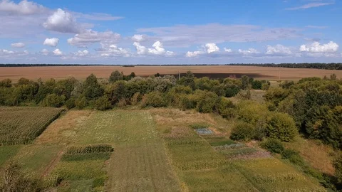 Flying over the trees and field. Beautiful sky and clouds. Drone. Stock Footage 128636753