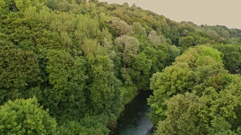 Flying over trees and the Neris river in a city park in Vilnius Vidéo 248860822