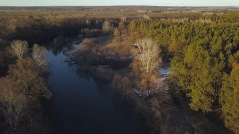 Flying over the trees and river at dawn - aerial videotaping Stock Footage 88411235