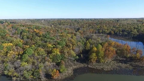 Flying over the trees and some small streams in the Fall Stock Footage 102301039
