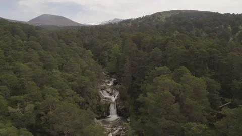 Flying over trees and waterfalls with Garbh Allt old iron bridge in Ballochbuie 스톡 동영상 251049161