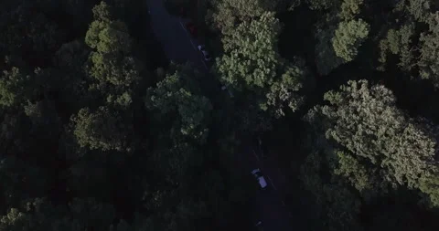 Flying Over Trees Contrast Nature Stock Footage 160247596