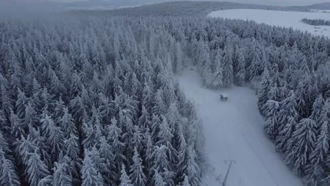 Flying over trees covered with snow in the mountains, 2K Stock Footage 148571534