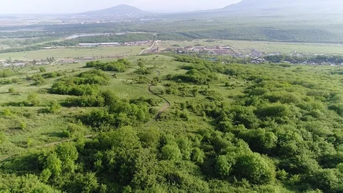 Flying over the trees down the mountain Video stock 85891031