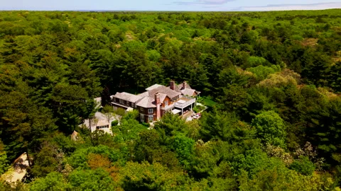 Flying over trees in East Hampton gives a fantastic view of different colors  Stock Footage 131202018